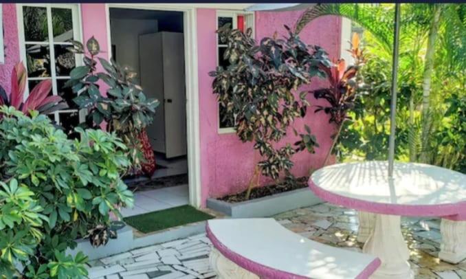 Pink Hibiscus Bed And Breakfast Montego Bay Exterior photo