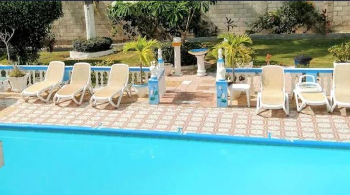 Pink Hibiscus Bed And Breakfast Montego Bay Exterior photo