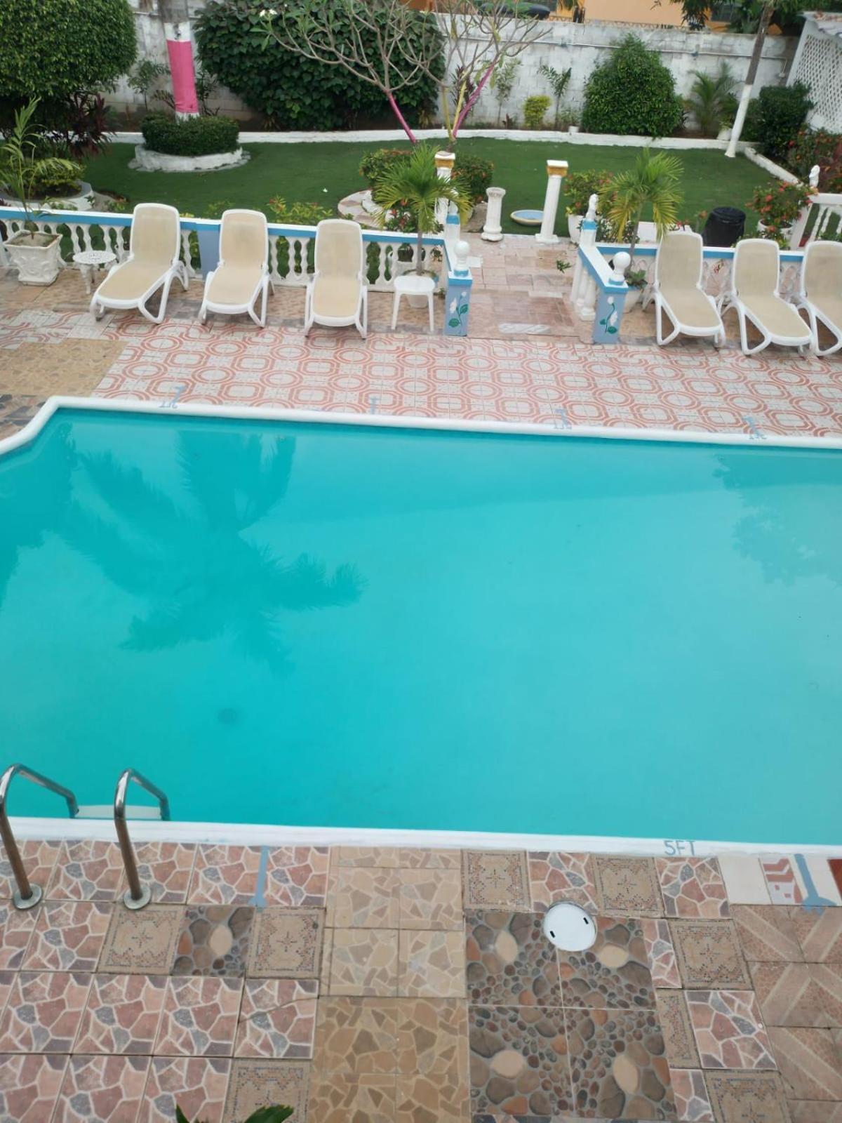 Pink Hibiscus Bed And Breakfast Montego Bay Exterior photo
