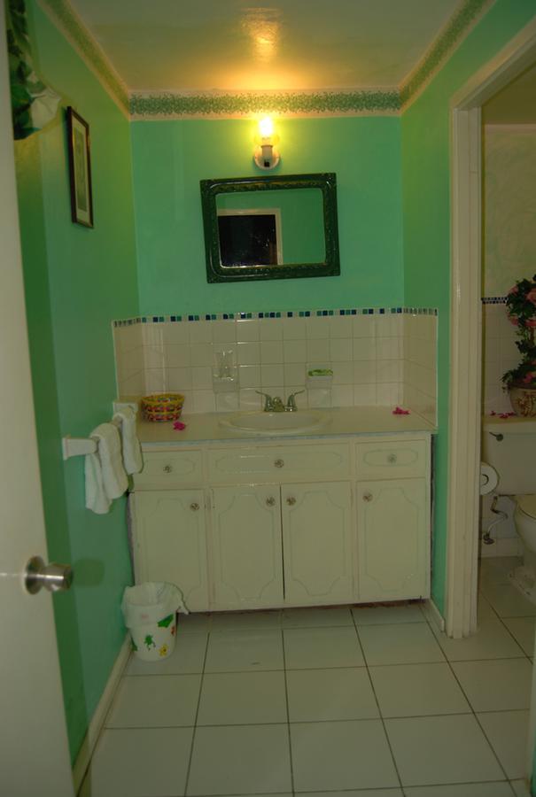 Pink Hibiscus Bed And Breakfast Montego Bay Exterior photo